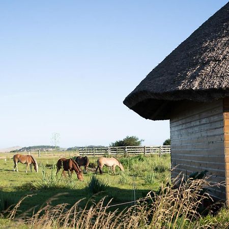 Los Chaja Ecolodge Барра-де-Валісас Екстер'єр фото